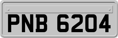 PNB6204