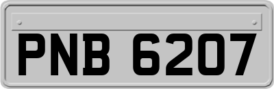 PNB6207