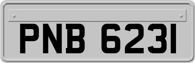 PNB6231