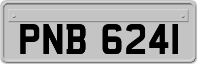 PNB6241