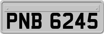 PNB6245