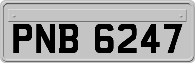 PNB6247