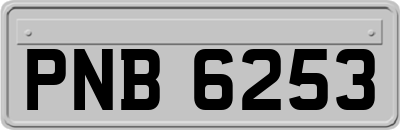 PNB6253