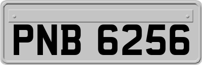 PNB6256