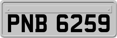 PNB6259
