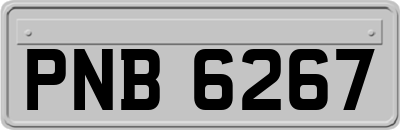 PNB6267