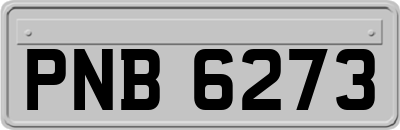 PNB6273