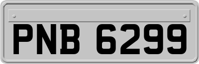 PNB6299