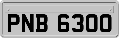 PNB6300