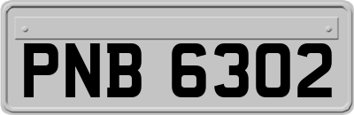 PNB6302
