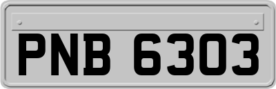 PNB6303