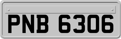 PNB6306