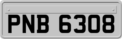 PNB6308