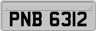 PNB6312