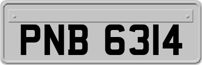 PNB6314
