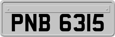 PNB6315