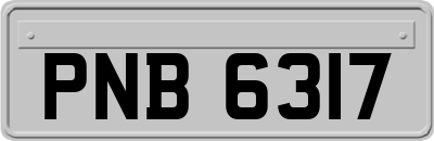 PNB6317