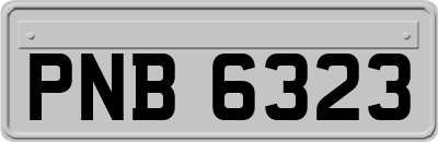 PNB6323