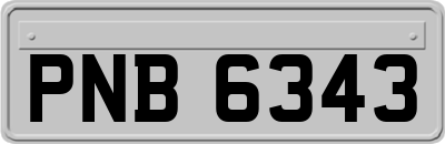 PNB6343