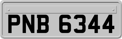 PNB6344
