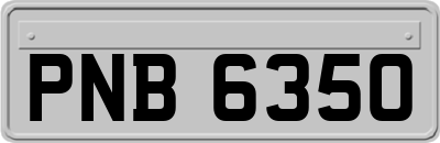 PNB6350