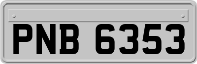PNB6353