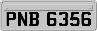 PNB6356