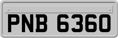 PNB6360