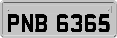PNB6365