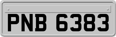 PNB6383