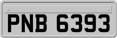 PNB6393
