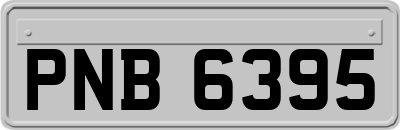 PNB6395