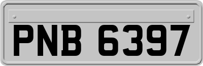PNB6397