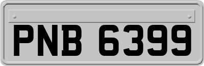 PNB6399