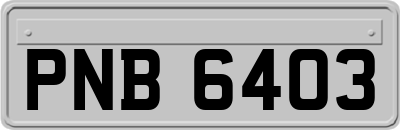 PNB6403