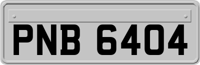 PNB6404