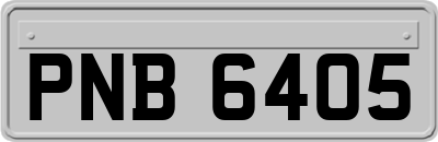 PNB6405