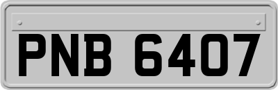 PNB6407