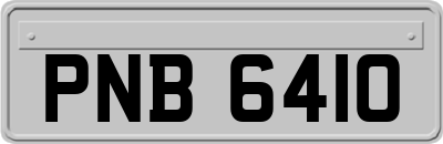 PNB6410