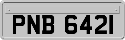 PNB6421