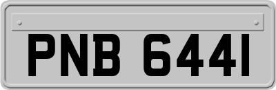 PNB6441
