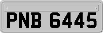 PNB6445