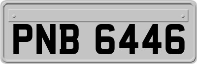 PNB6446