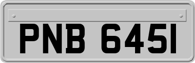 PNB6451