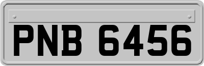 PNB6456