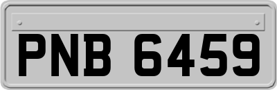 PNB6459