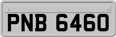PNB6460