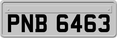 PNB6463