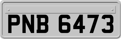 PNB6473