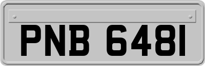 PNB6481